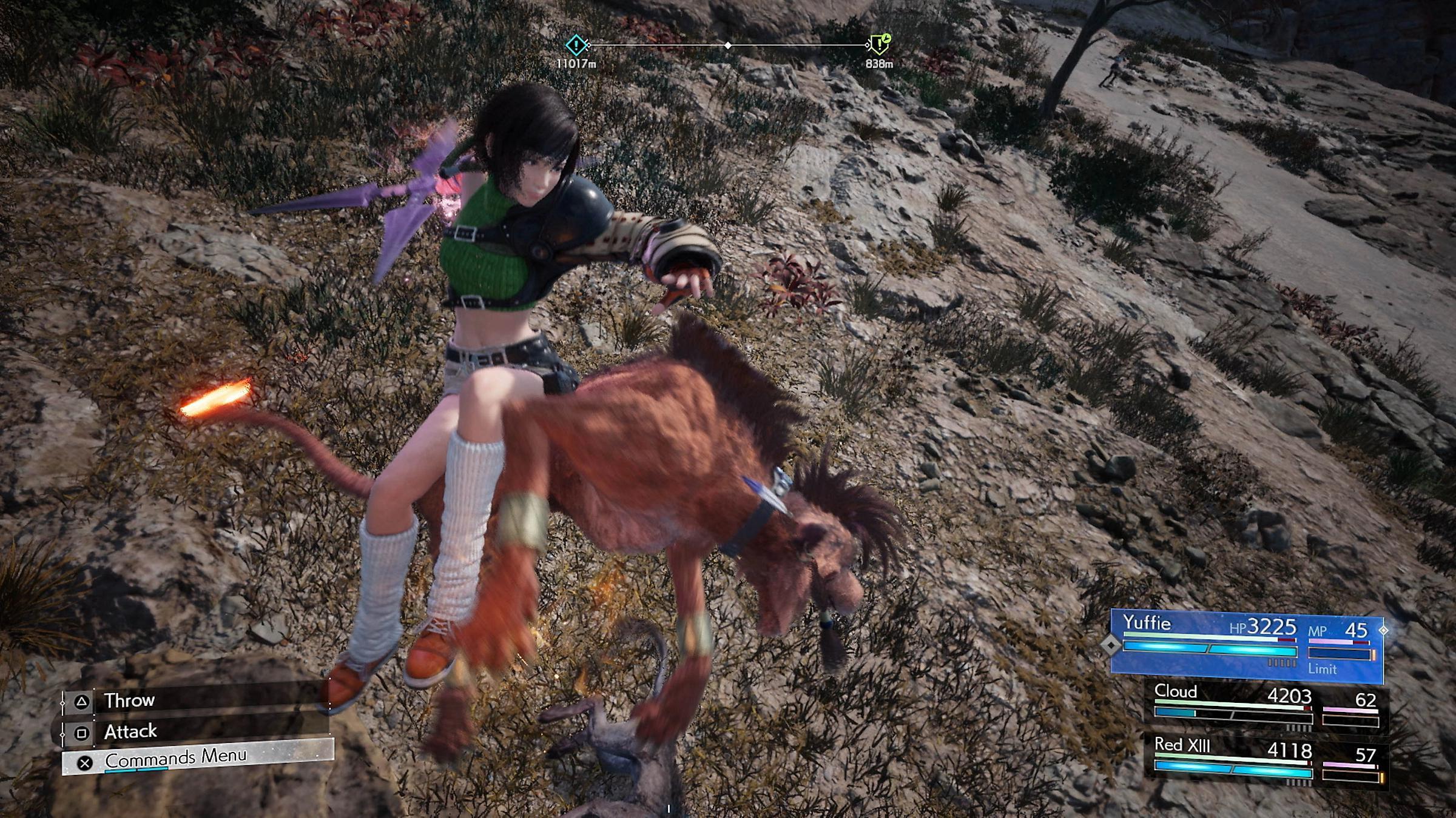 Background for Naoki Yamamoto