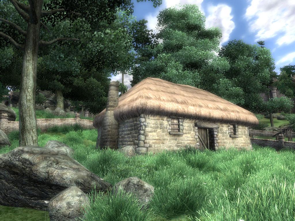 Background for Craig Walton