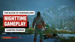 The Blood of Dawnwalker: Nighttime Open World Exploration